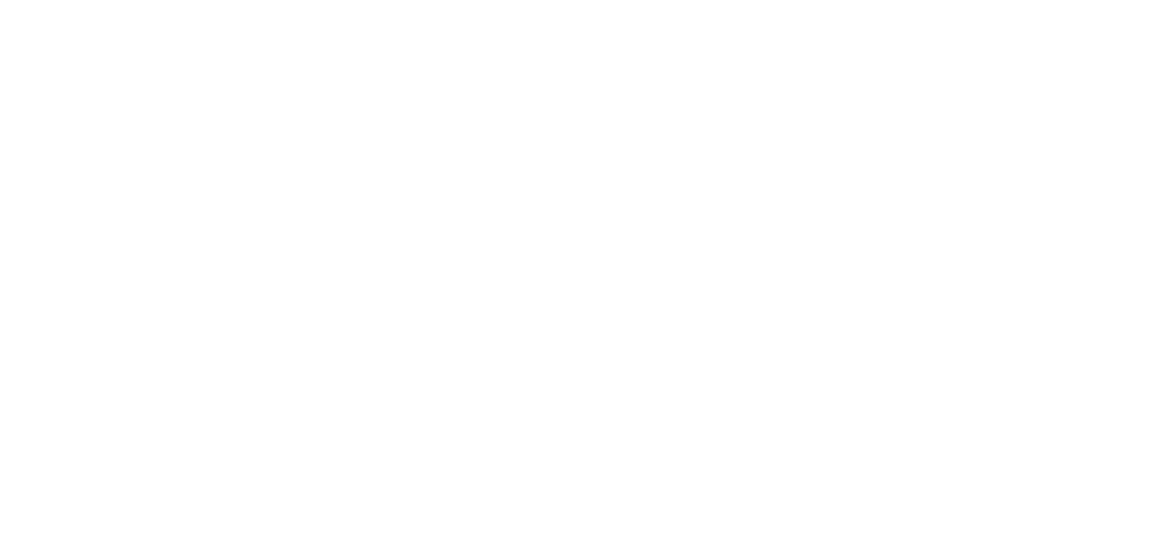 Eternal Fire Esports